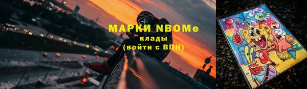тгк Абаза
