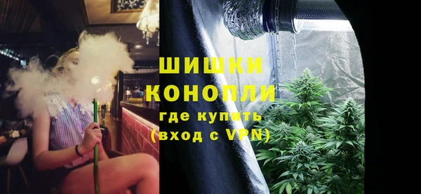 ешки Медногорск