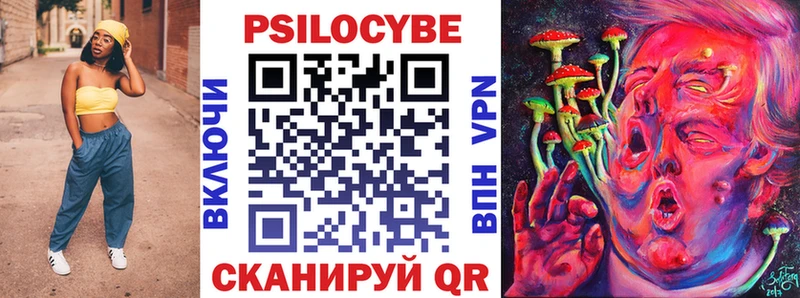 блэк спрут зеркало  Дербент  Псилоцибиновые грибы MAGIC MUSHROOMS 